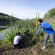 Niagara College earns WWF-Canada Living Campus Certification