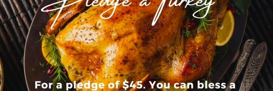 Pledge a Turkey