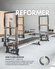 intro to reformer