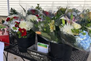 We All Need Floral Sunshine in Our Life – Assorted Bouquets $10 each at Van Noort Florists