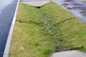 Swales – ‘The Silent Stormwater Sweepers’