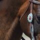 B’N’R Stables launches Virtual Horsemanship Program