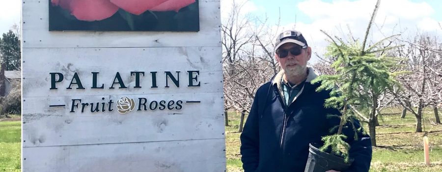 Palatine Fruit and Roses ‘Earth Day is Everyday’ Local Tree Giveaway!