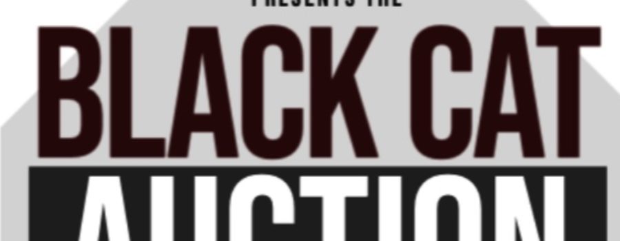 Black Cat Auction – Bidding Now Open! #myNiagaraSouthCoast
