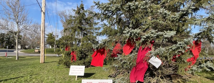 The Red Dress Campaign #16DaysofActivism
