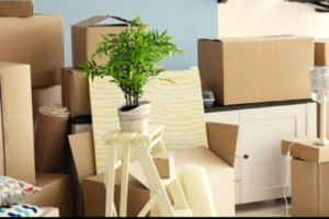 Urge To Purge Inc. –  Your Local Decluttering, Cleaning and Staging Experts
