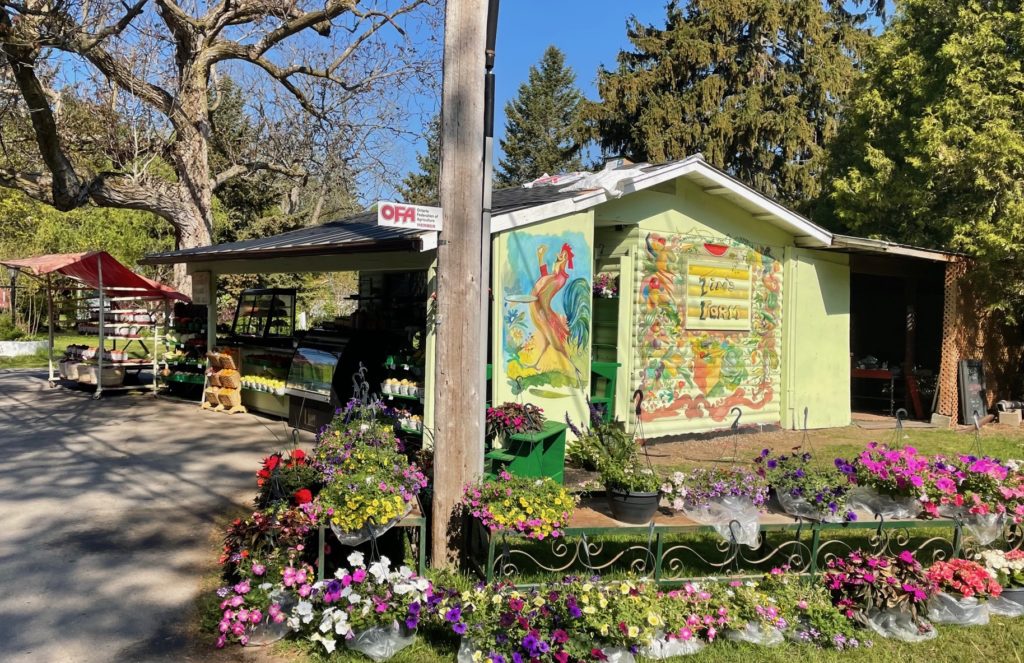 New at Tim’s Farm – Murals, Fresh Baked Bread and Desserts