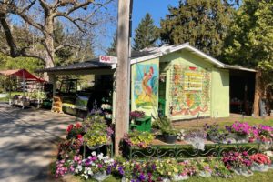 New at Tim’s Farm – Murals, Fresh Baked Bread and Desserts