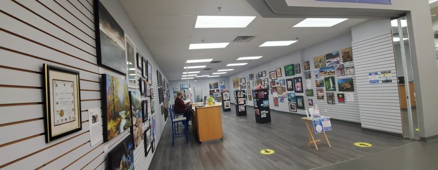 Guest Artist Opening at Visual Artists of Welland Gallery Shop