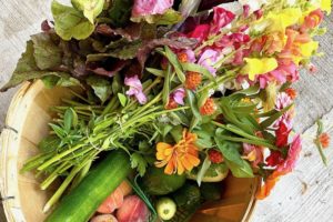 Celebrating Local: Weekly CSA Basket and U-Pick Flowers