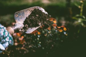 Compost event to support local charities Oct. 18-23, 2021