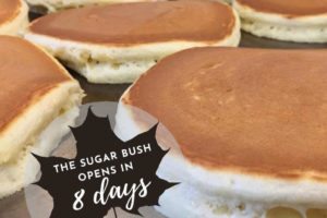 Agape Valley Sugar Bush: Countdown to Opening Day!