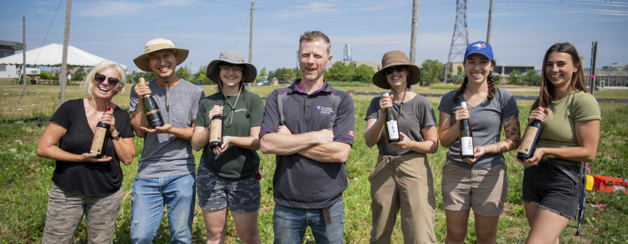 Niagara College Teaching Winery savours success in provincial and national competitions