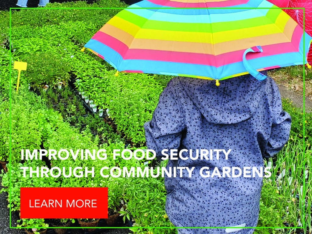 Community Profile: Niagara Community Garden Network