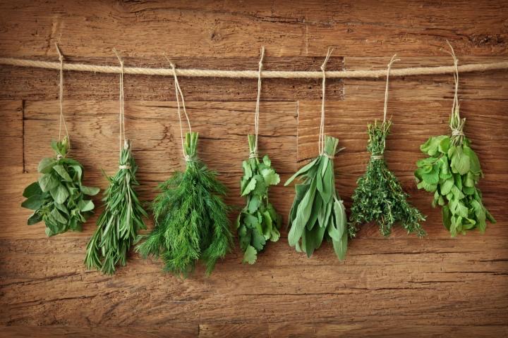 How to Dry and Store Rumar Farm Herbs