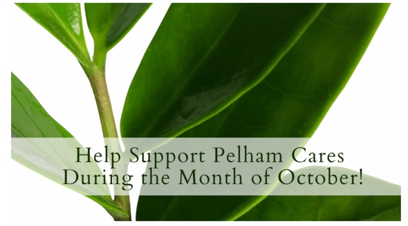 Shop at Vermeer’s Garden Centre and Support Pelham Cares