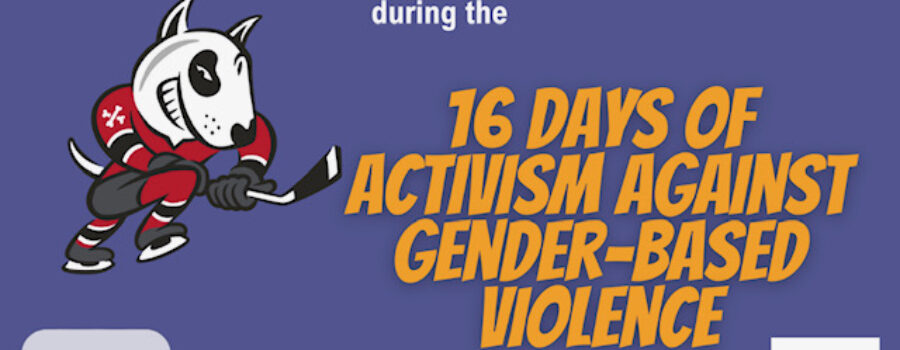 Niagara IceDogs team up with Women’s Place during 16 Days of Activism against Gender-Based Violence