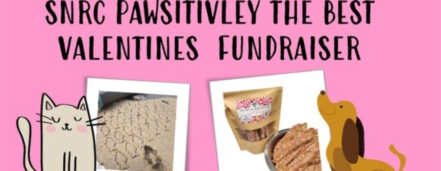 SNRC Pawsitivity The Best Valentines Fundraiser