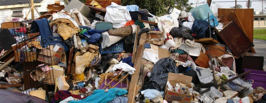 Urge to Purge: Sustainable Junk Removal