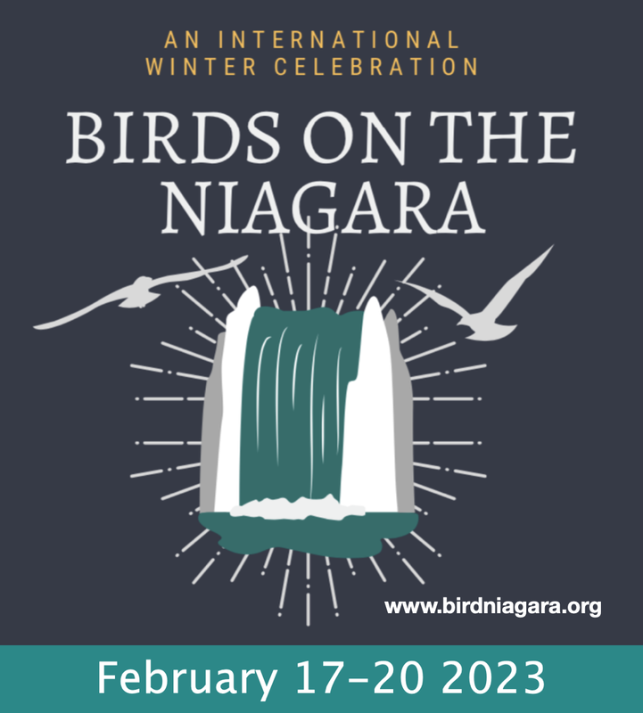 Coming Soon! Birds on the Niagara International Festival Feb. 17-20