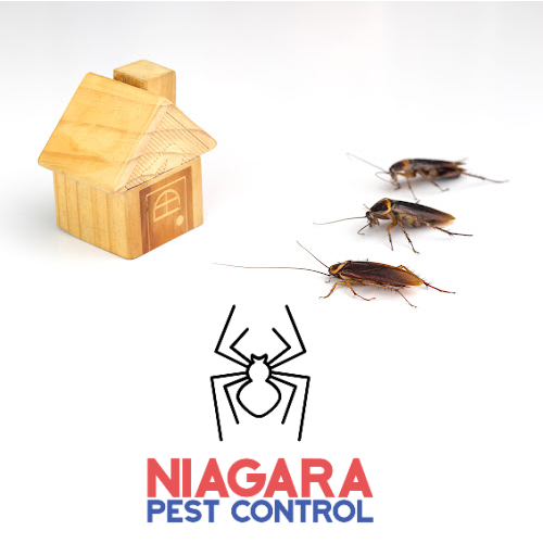 Welcome New Community Partner! Niagara Pest Management