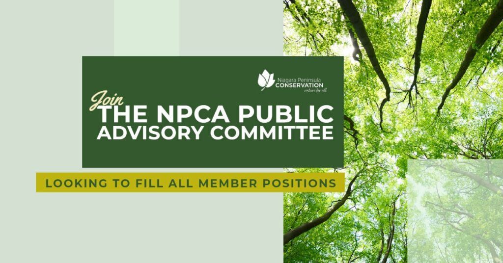 NPCA Recruiting Members For Public Advisory Committee