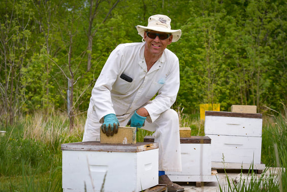 Host a Hive – Niagara Beeway’s Bee Network Initiative