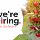 Looking for Agricultural Assistants