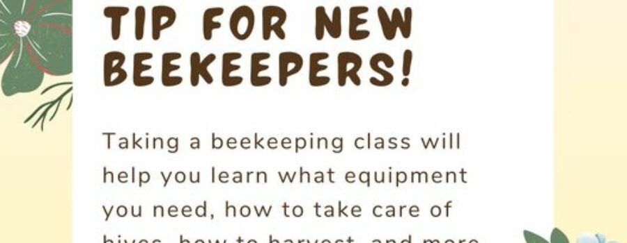 Sign Up for Beekeeping Classes 