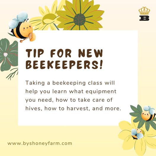 Sign Up for Beekeeping Classes 