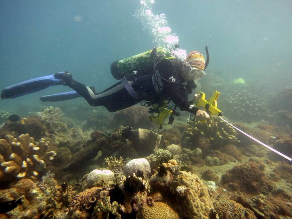 Rotary Club grant supports international Brock marine biodiversity research