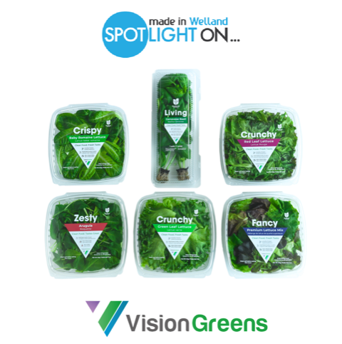 Made in Welland Spotlight On: Vision Greens