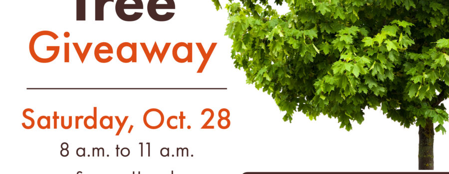 City of St. Catharines Fall Tree Giveaway