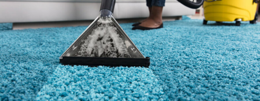 Local Business Feature: Miller DKI’s Carpet and Upholstery Cleaning Services
