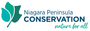 Niagara Peninsula Conservation Authority