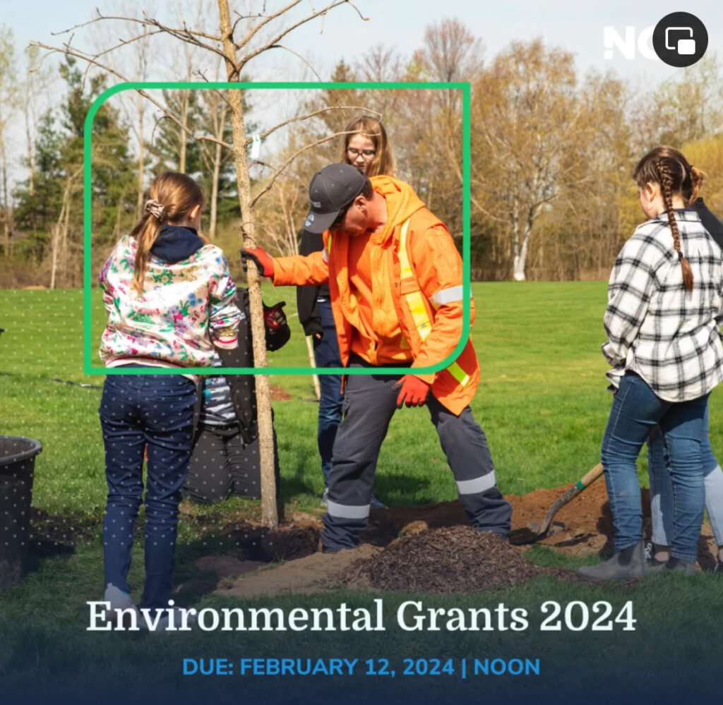 Niagara Community Foundation: New Year! New Environmental Grants!