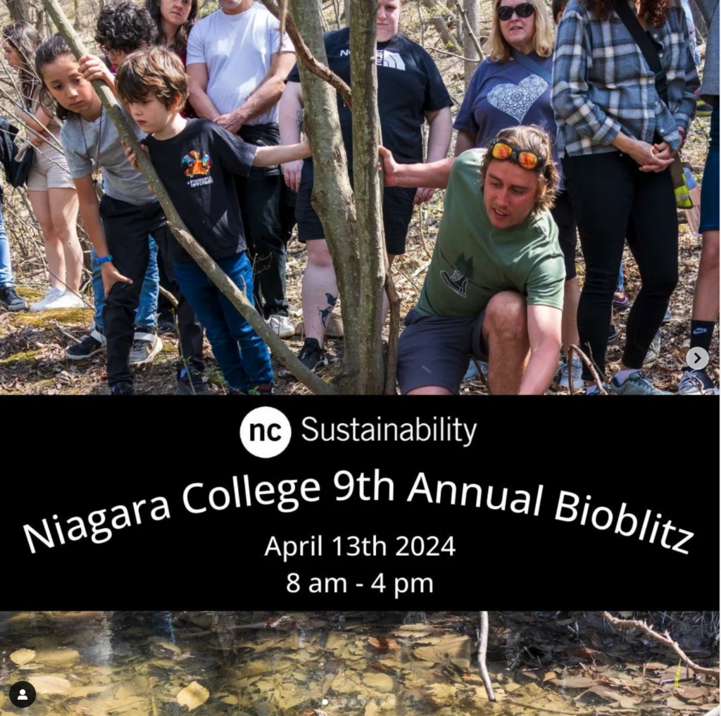 Calling all Niagara Citizen Scientists! 9th Annual Spring BioBlitz at Niagara College