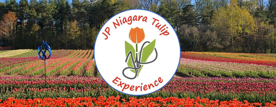 Local Love: JP Niagara Tulip Experience
