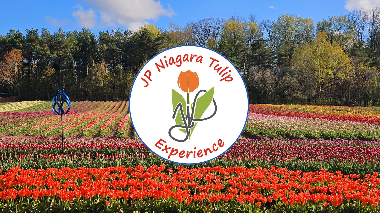 Local Love: JP Niagara Tulip Experience