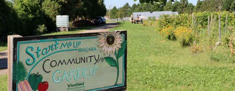 Start Me Up Niagara offering sponsorships to increase access to affordable food