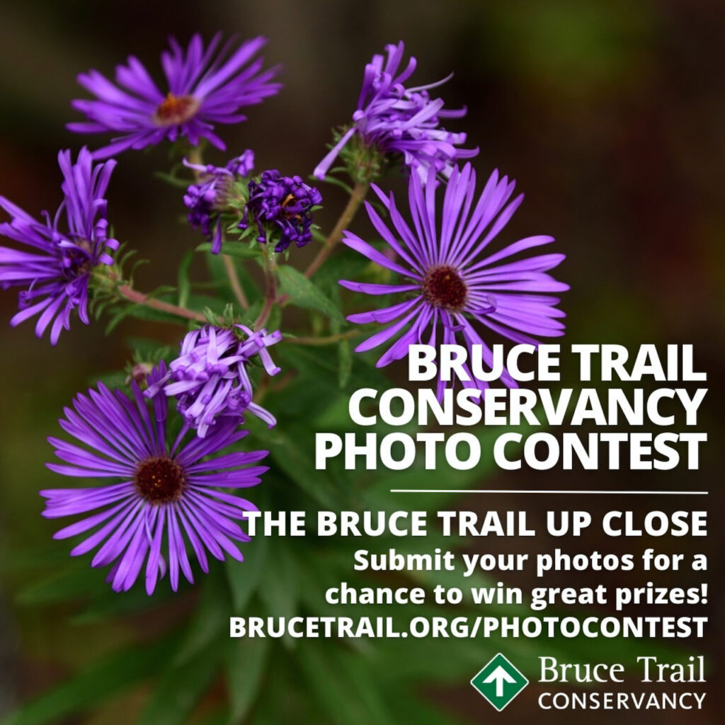 Submit Photos to the Bruce Trail Conservancy Photo Contest by July 15th