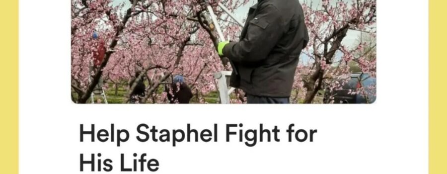 Help Staphel Morris, a Niagara Farm Worker, Fight for His Life