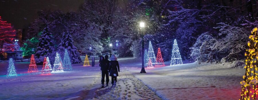 Winter Festival of Lights Returns with Dazzling New Displays and Free Festive Programming