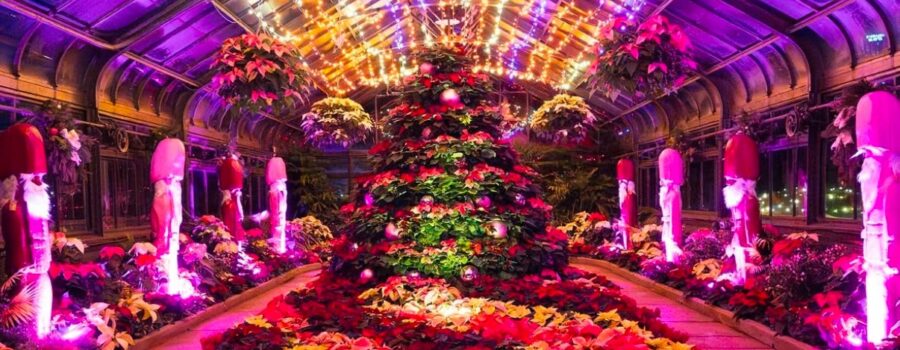 Niagara Parks’ Annual Poinsettia Show